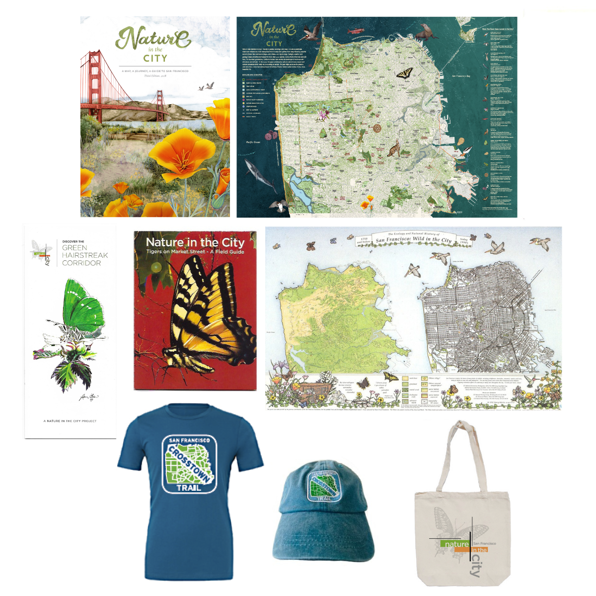 Untitled design (4).png